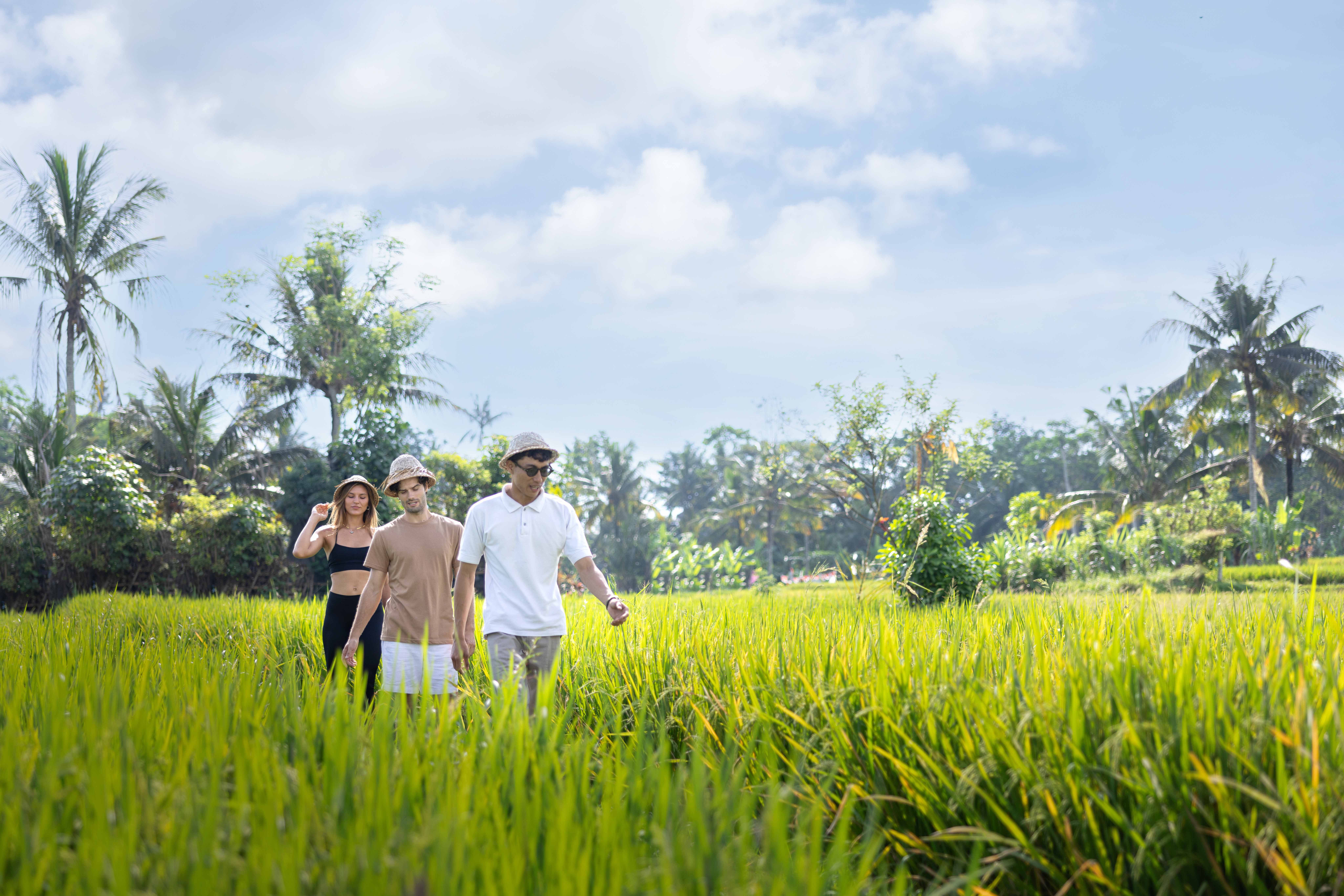 5 Things to Do at Anumana De Suite, Ubud