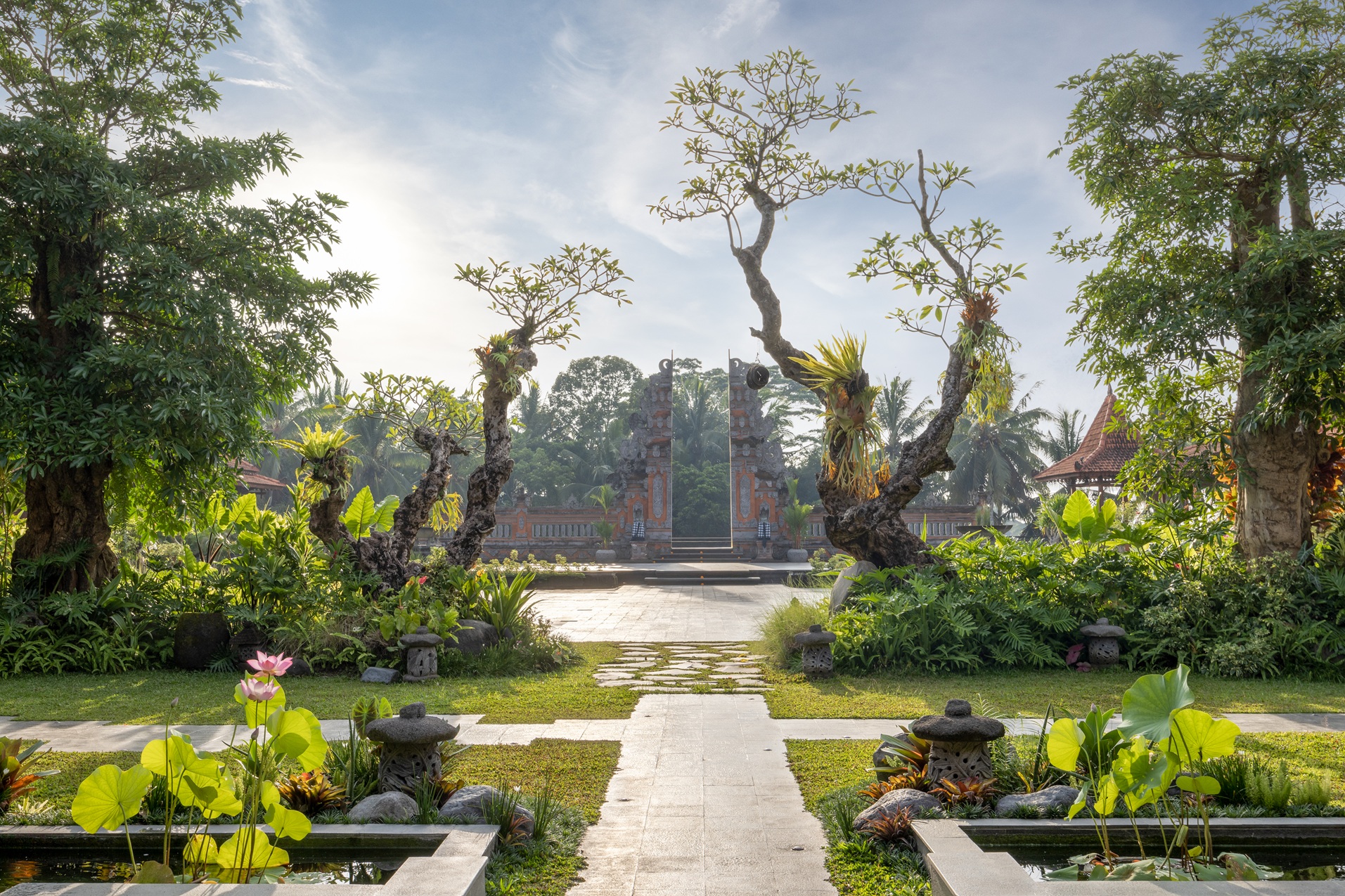 What to Expect in Bali, June 2026: A Guide to the Perfect Ubud Escape